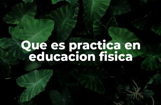 Que es Practica en Educacion Fisica