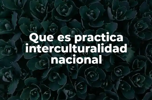 Que es Practica Interculturalidad Nacional