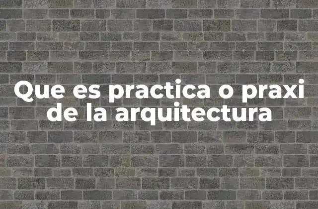 Que es Practica o Praxi de la Arquitectura