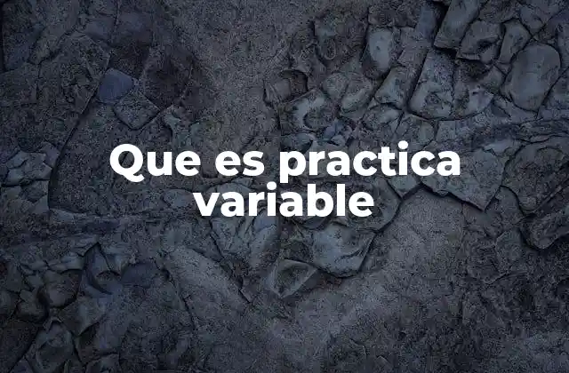 Que es Practica Variable