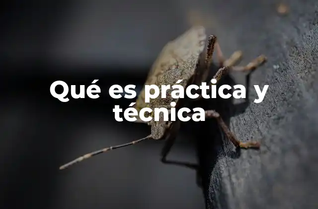 Qué es Práctica y Técnica