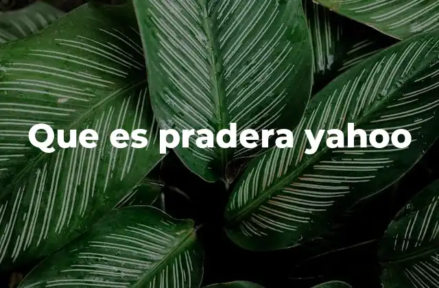 Que es Pradera Yahoo