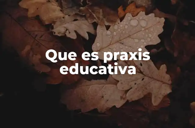 Que es Praxis Educativa