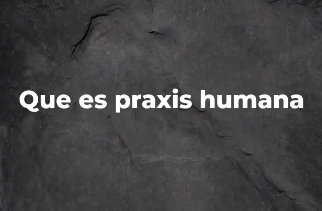 Que es Praxis Humana
