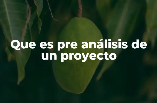 Que es Pre Análisis de un Proyecto