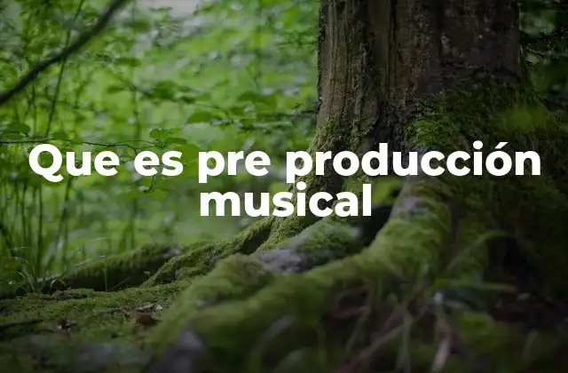 Que es Pre Producción Musical