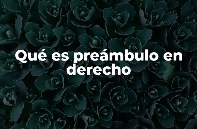 El papel del preámbulo en el desarrollo de normas legales