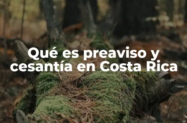 Qué es Preaviso y Cesantía en Costa Rica