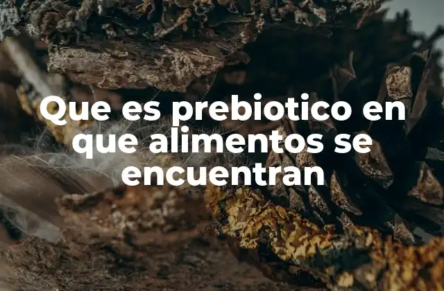 La importancia de los prebióticos para la salud digestiva y general