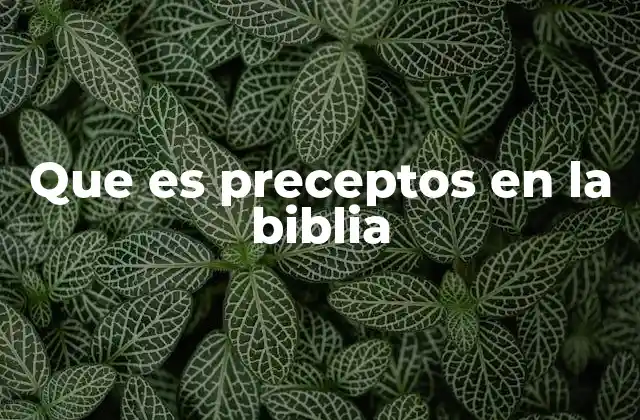 Que es Preceptos en la Biblia