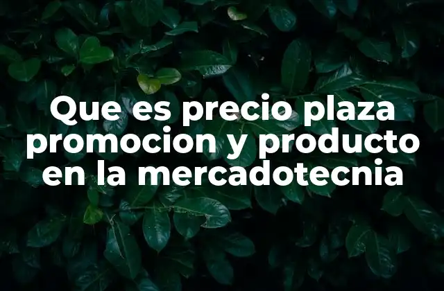 Que es Precio Plaza Promocion y Producto en la Mercadotecnia