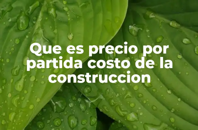 Que es Precio por Partida Costo de la Construccion