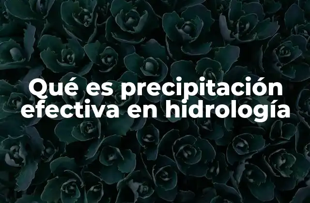 Qué es Precipitación Efectiva en Hidrología