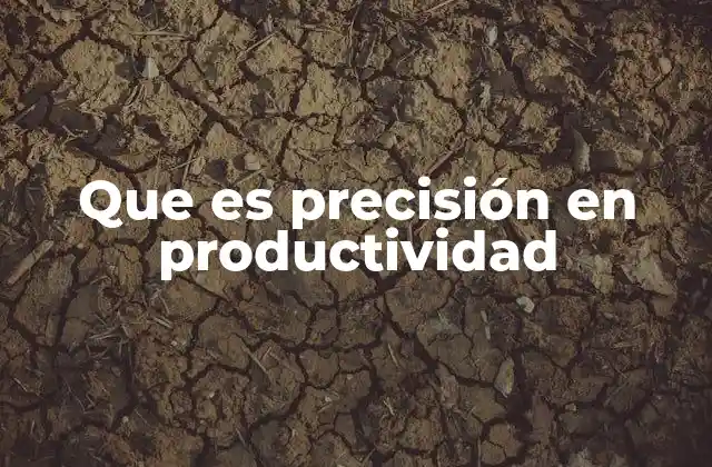 Que es Precisión en Productividad
