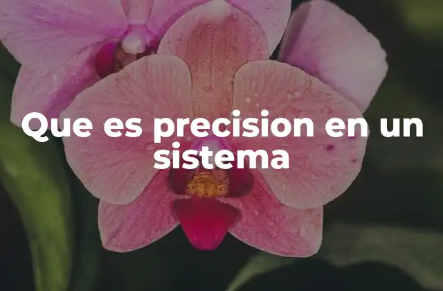 Que es Precision en un Sistema