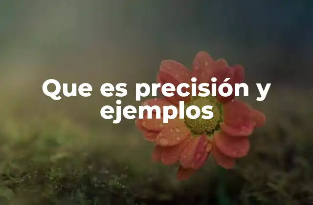 Que es Precisión y Ejemplos