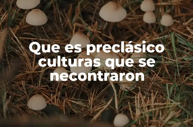 Que es Preclásico Culturas que Se Necontraron