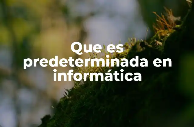 Que es Predeterminada en Informática