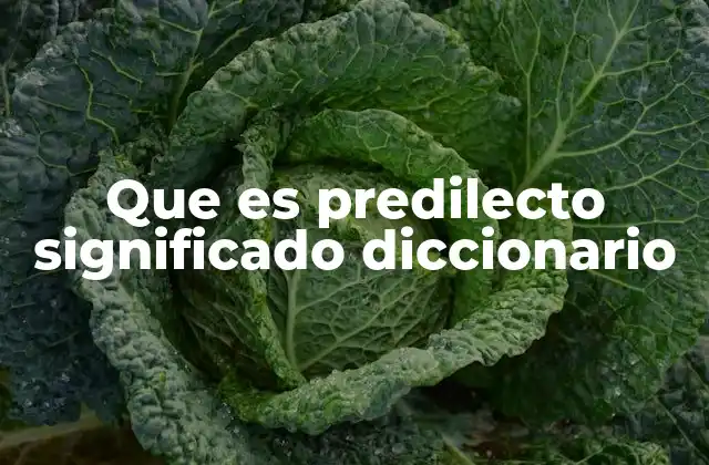 Que es Predilecto Significado Diccionario