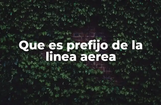 Que es Prefijo de la Linea Aerea 2 La importancia del código de país en las telecomunicaciones globales