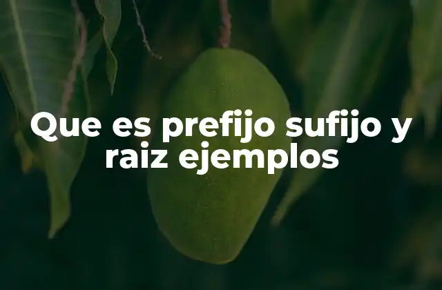 Que es Prefijo Sufijo y Raiz Ejemplos