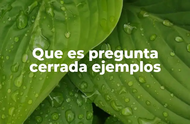 Que es Pregunta Cerrada Ejemplos