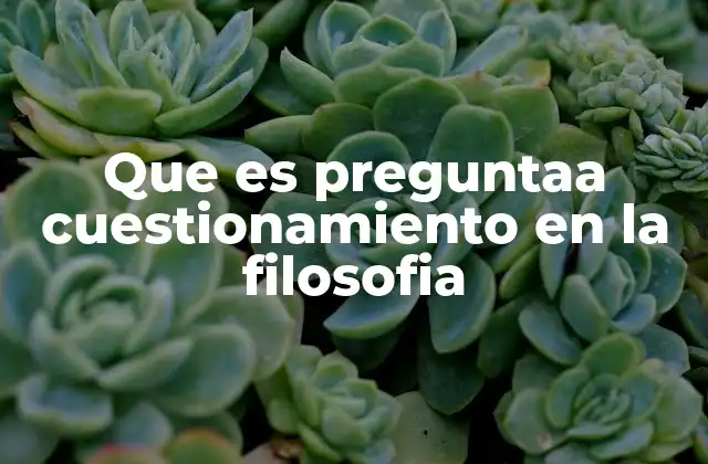 Que es Preguntaa Cuestionamiento en la Filosofia