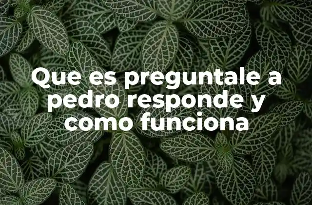 Que es Preguntale a Pedro Responde y como Funciona