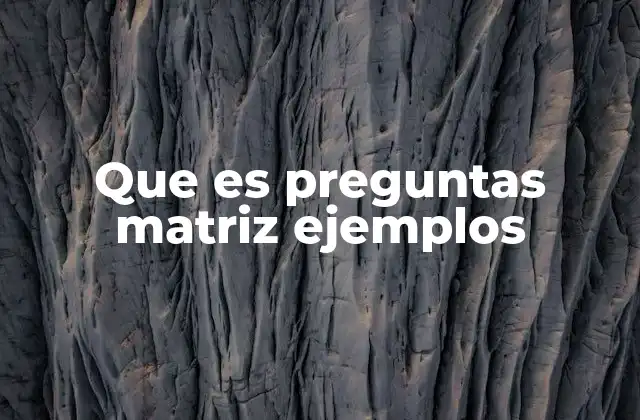 Que es Preguntas Matriz Ejemplos