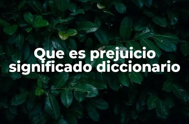 Que es Prejuicio Significado Diccionario