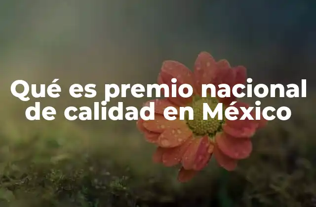 Qué es Premio Nacional de Calidad en México