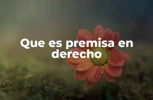 Que es Premisa en Derecho