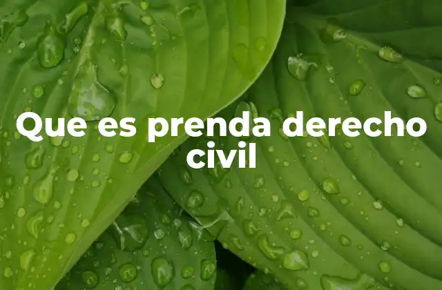Que es Prenda Derecho Civil