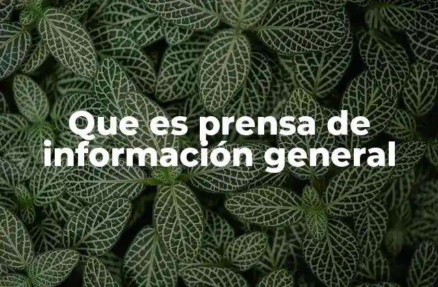 Que es Prensa de Información General