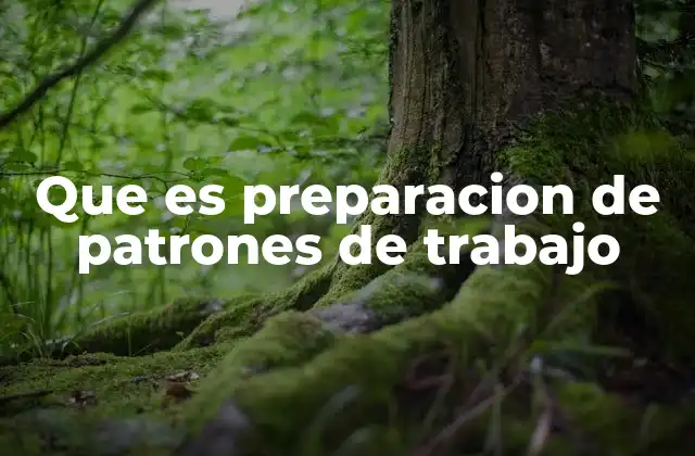 Que es Preparacion de Patrones de Trabajo 2 Cómo los patrones de trabajo optimizan los procesos industriales