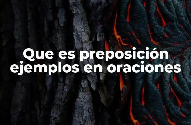 Que es Preposición Ejemplos en Oraciones