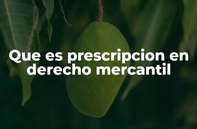 Que es Prescripcion en Derecho Mercantil