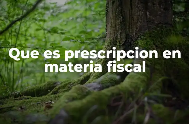 Que es Prescripcion en Materia Fiscal