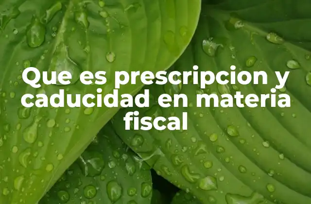 Que es Prescripcion y Caducidad en Materia Fiscal