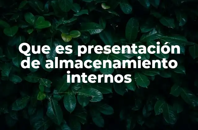 Que es Presentación de Almacenamiento Internos