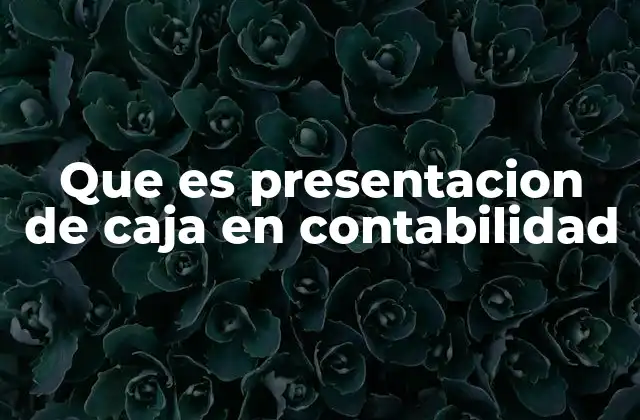 Que es Presentacion de Caja en Contabilidad 2 Importancia del control de efectivo en la gestión empresarial