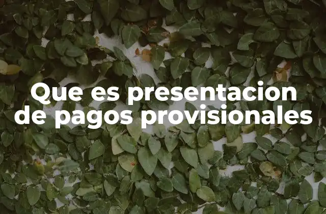 Que es Presentacion de Pagos Provisionales