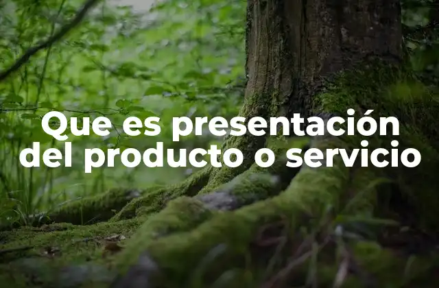 Que es Presentación Del Producto o Servicio 2 La importancia de una buena presentación en el marketing