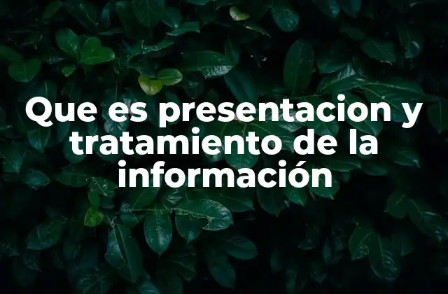 Que es Presentacion y Tratamiento de la Información