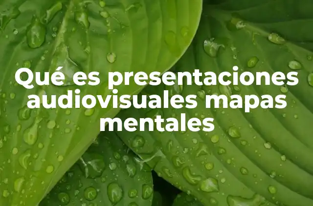 Qué es Presentaciones Audiovisuales Mapas Mentales 2 Cómo las herramientas visuales mejoran la comprensión y retención de la información
