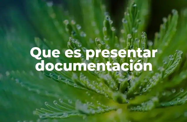 Que es Presentar Documentación
