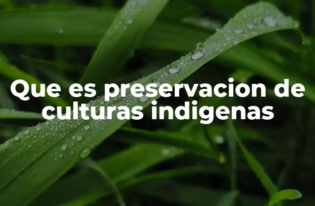 Que es Preservacion de Culturas Indigenas