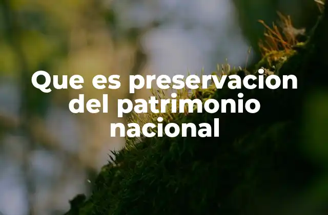 Que es Preservacion Del Patrimonio Nacional