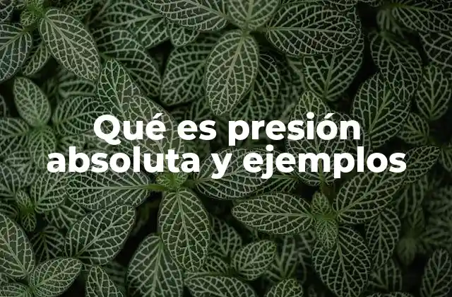Qué es Presión Absoluta y Ejemplos