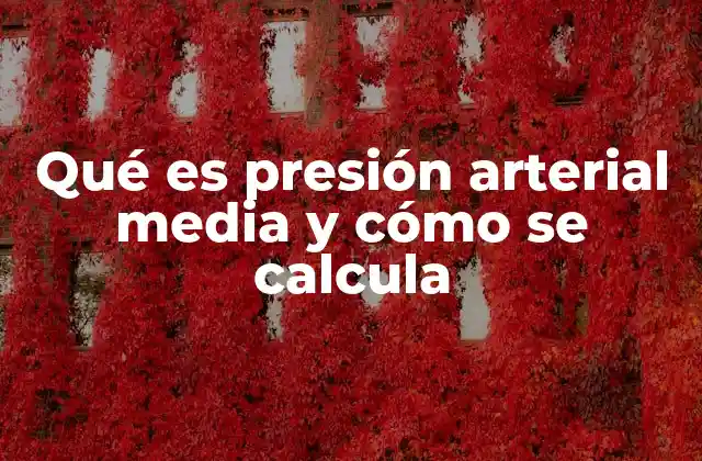 Qué es Presión Arterial Media y Cómo Se Calcula 2 El rol de la presión arterial media en la salud cardiovascular